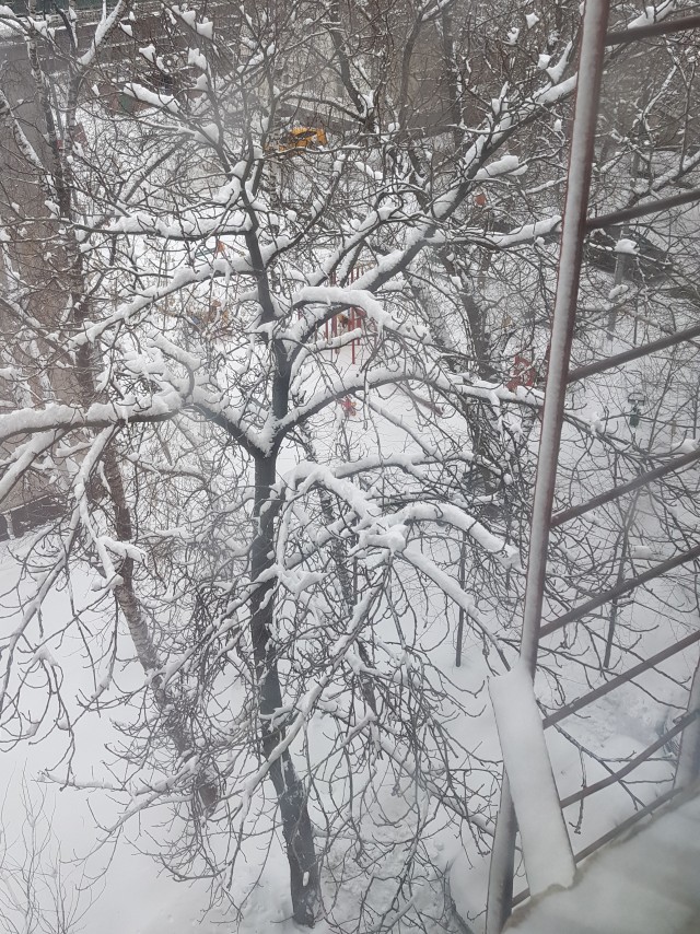 А какая у Вас сегодня весна за окном?!