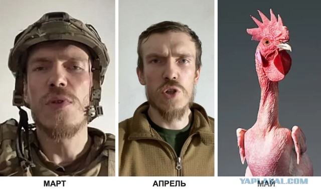 Про сдачу Азовцев
