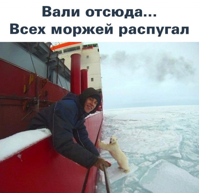 Немного картинок и прочей хреноты Vol. 17