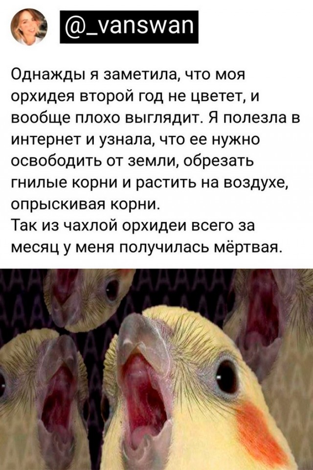 Скриншоты и комментарии из социальных сетей 20.08.22