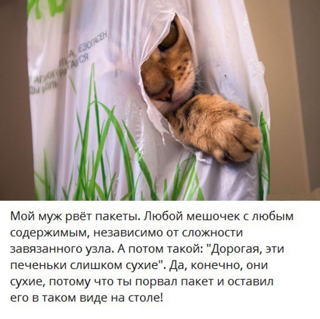 Скриншоты и комментарии из социальных сетей 23.08.22