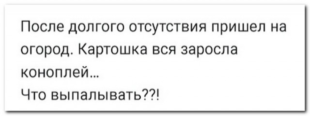 Скриншоты и комментарии из социальных сетей 10.09.22