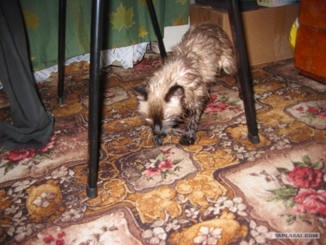 Хороший отдых