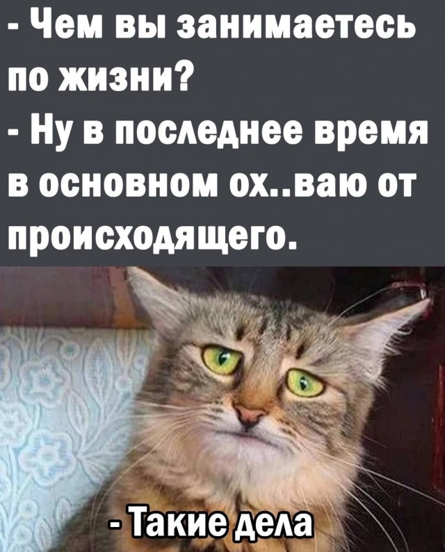 Немного мемчиков. Для взрослых. Часть 23