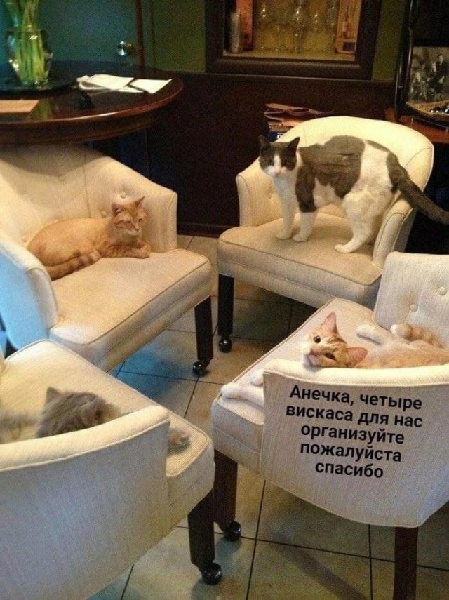 Картинки и мемы. Выходные близко...