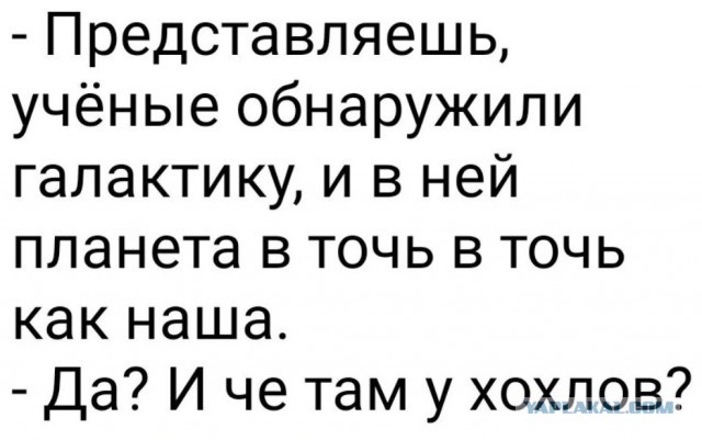«Массовый побег»: поляки призывного возраста ринулись на Запад — подальше от украинского конфликта