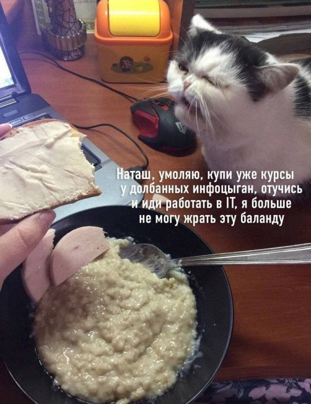 Так себе картинки 05.03.23