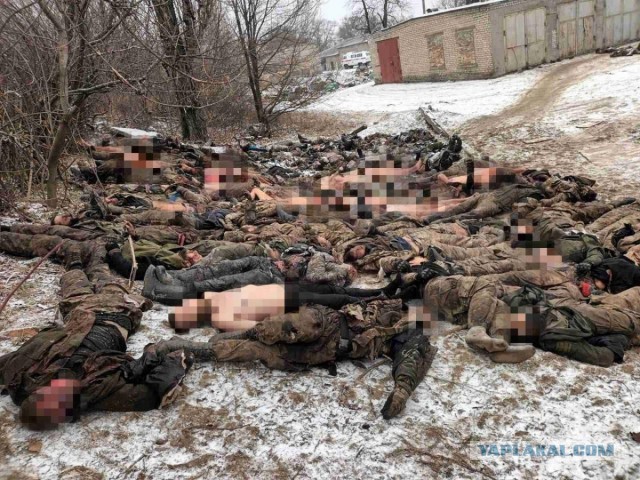 «Вы дождетесь, твари!»
