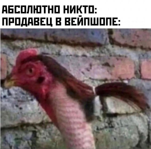 Картинки и мемы, всем хороших выходных