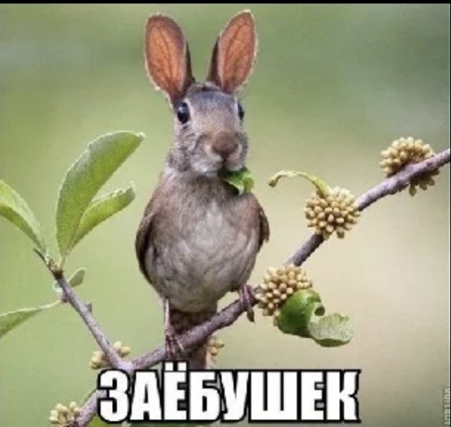 Почему женщины любят некрасивых?