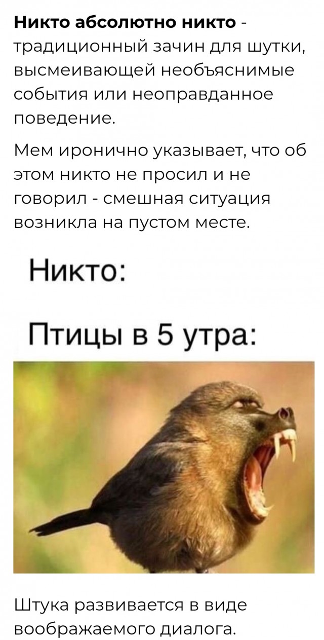Весёлый полтишок 01.11.23