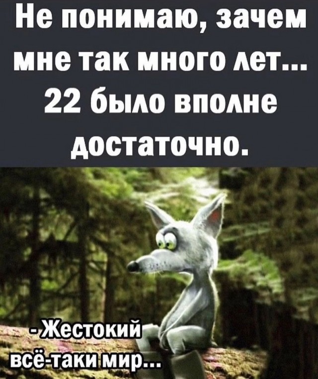 Тлидцать тли от 6 февраля