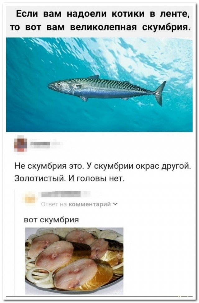Забавные комментарии из социальных сетей (25.03.24)