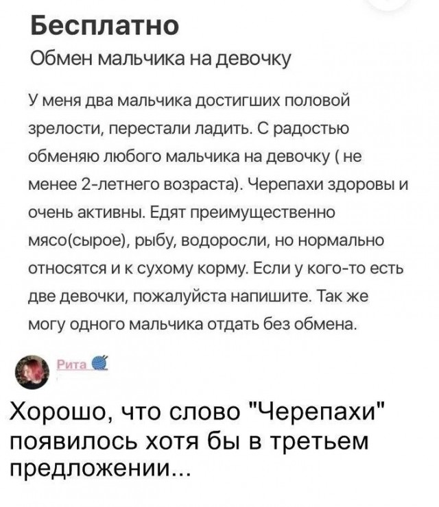 Юмор в картинках и без