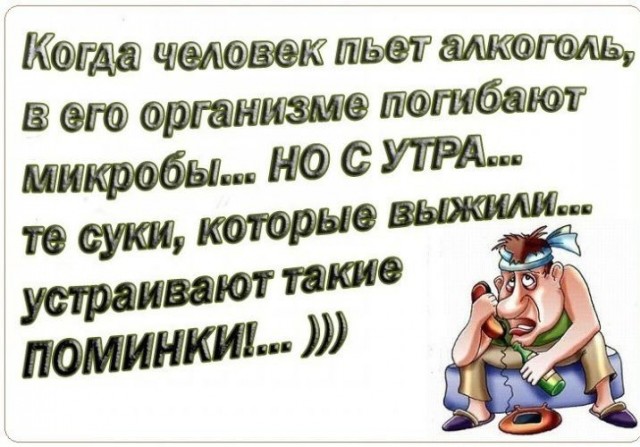 Немного забавных картинок от 18.08.2024