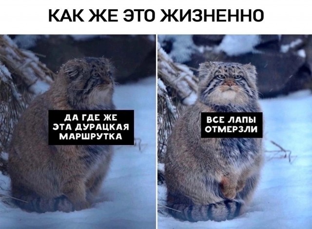 Завалялось тут случайно немного забавных картинок