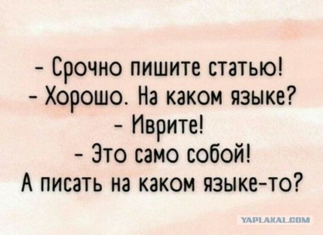 Так себе картинки 08.12.24