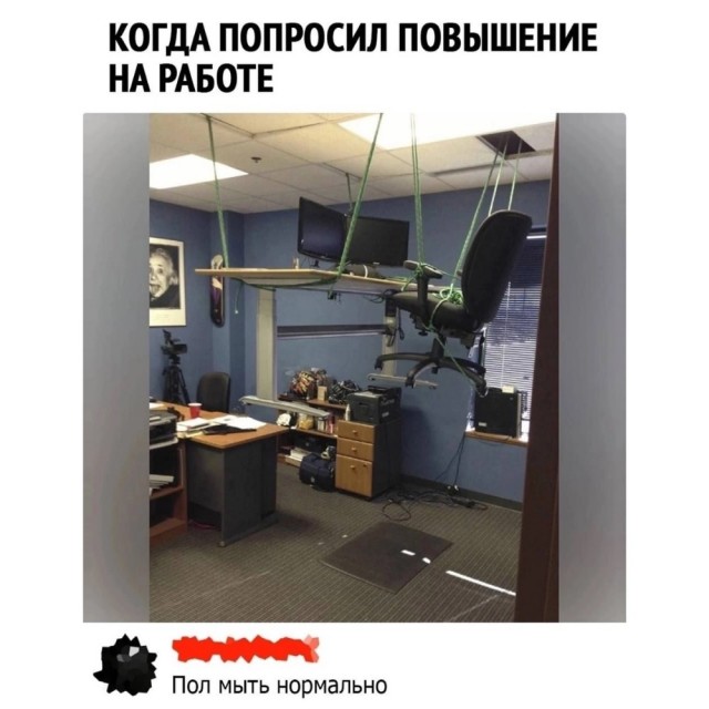 Весёлый полтишок 10.12.24