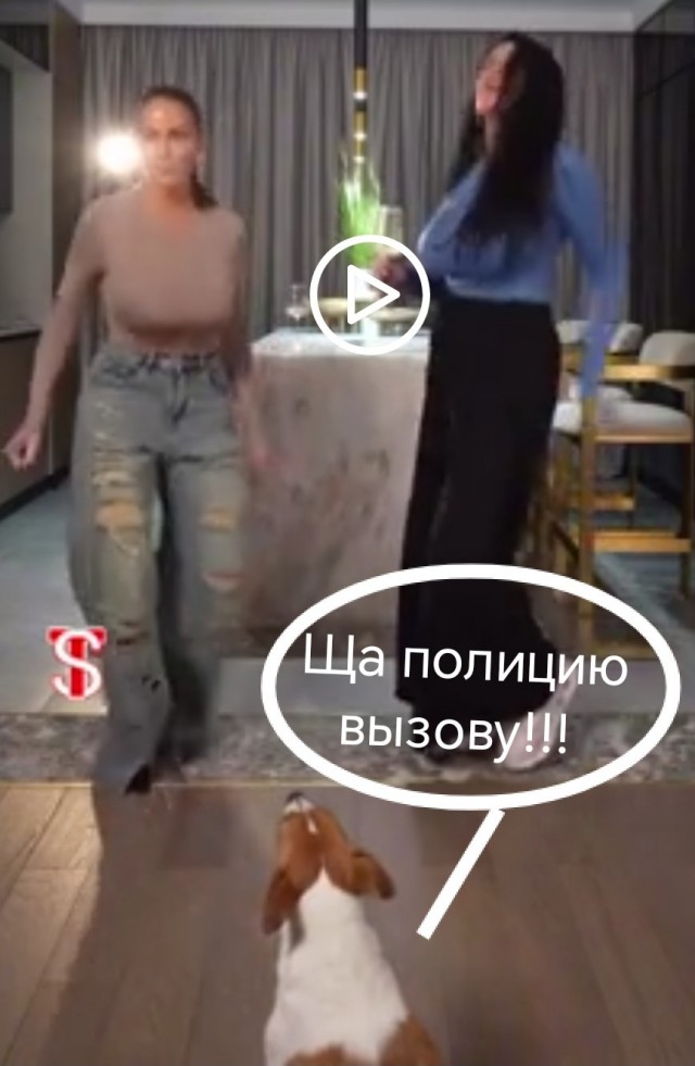 Тёханши отдыхают