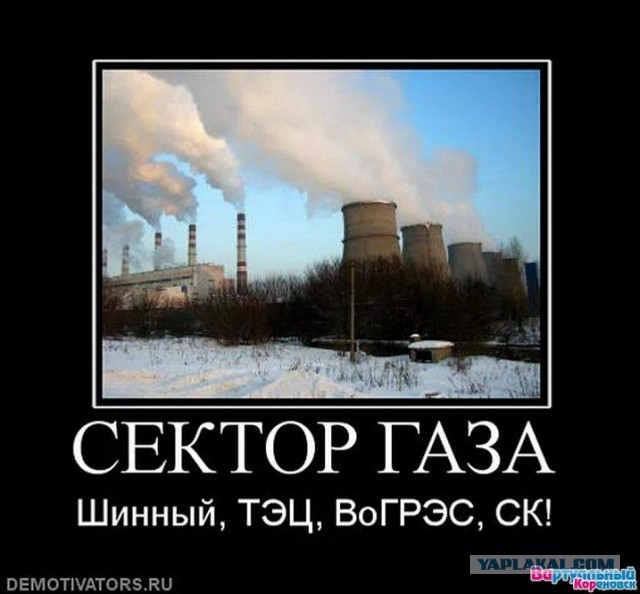 10 фактов о Юрии Хое, что обычно не разглашаются