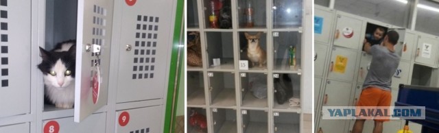Сотрудница строительного магазина высказала всё