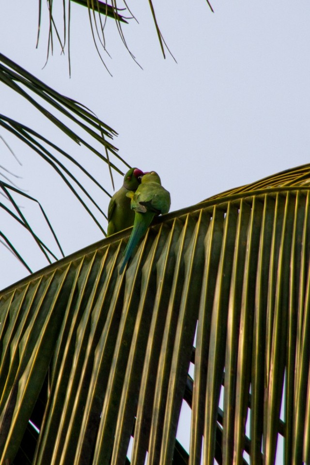 Бутан, таинственный Бутан