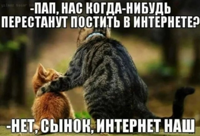 Завалялось тут случайно немного забавных картинок