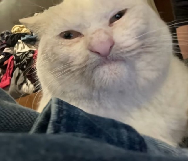 Заебал, внучара, пива принеси