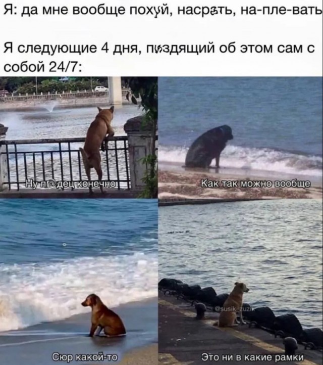 Завалялось тут случайно немного забавных картинок