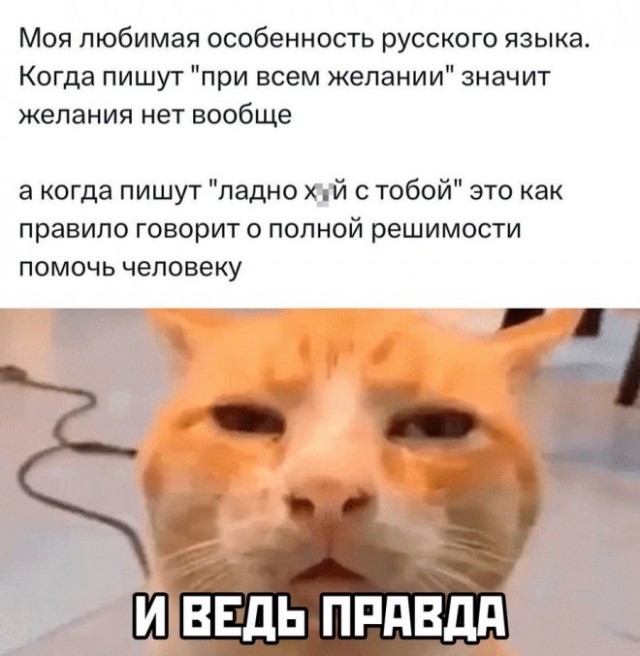 Веселые картинки в понедельник 21.04