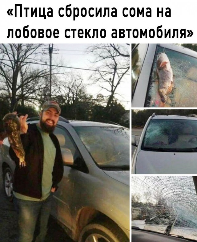 Картинки на автотематику 07.05.25