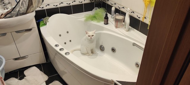 Вещь то нужная в хозяйстве...