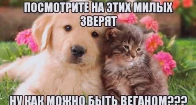 Десятый юбилейный
