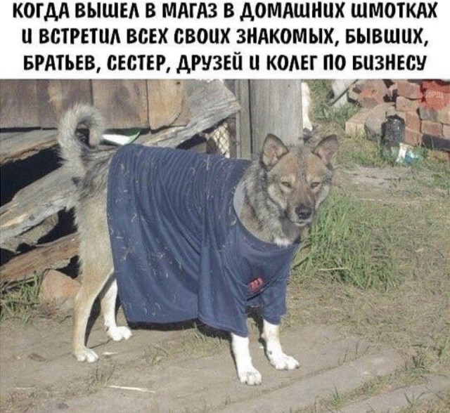 "Матрица на повороте" - мужик проверяет скрипт программы
