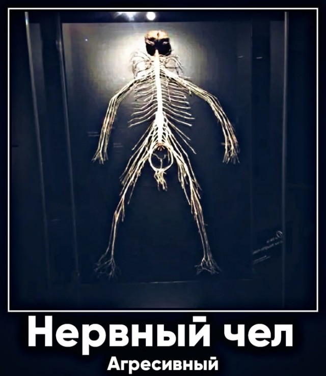 Картинки для деградации 134 (разной степени свежести)