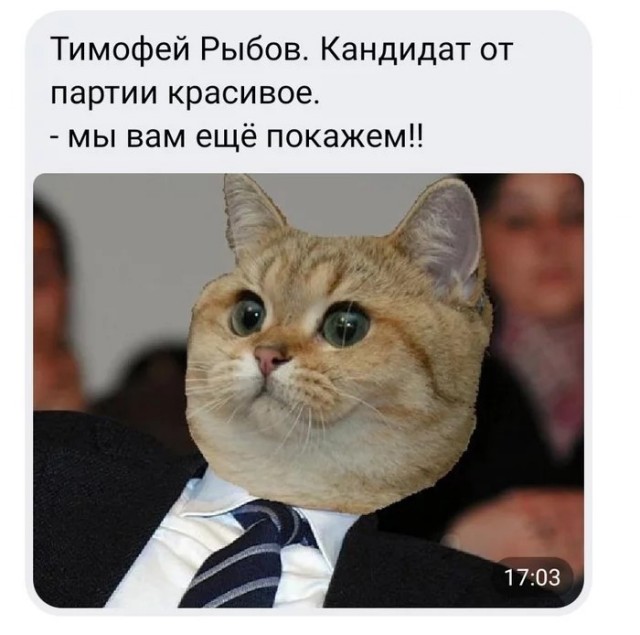Дорогие мои любимые учителя.