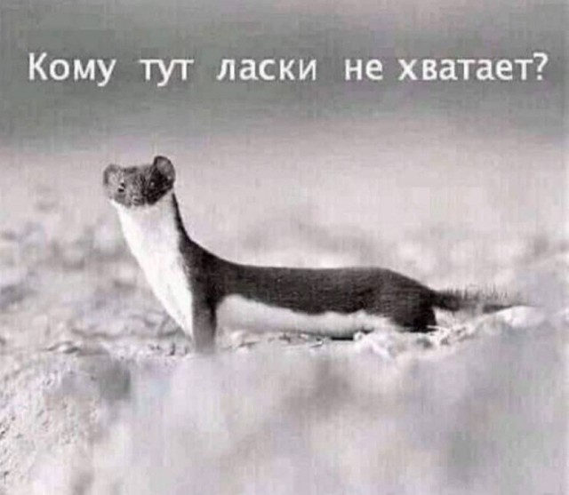 Так себе картинки 03.09.26