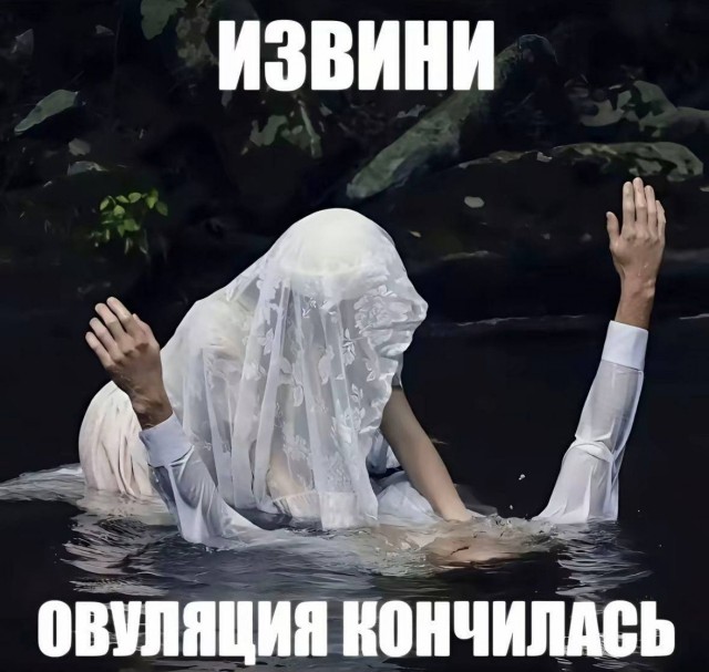 Картинки для деградации 278 (разной степени свежести)