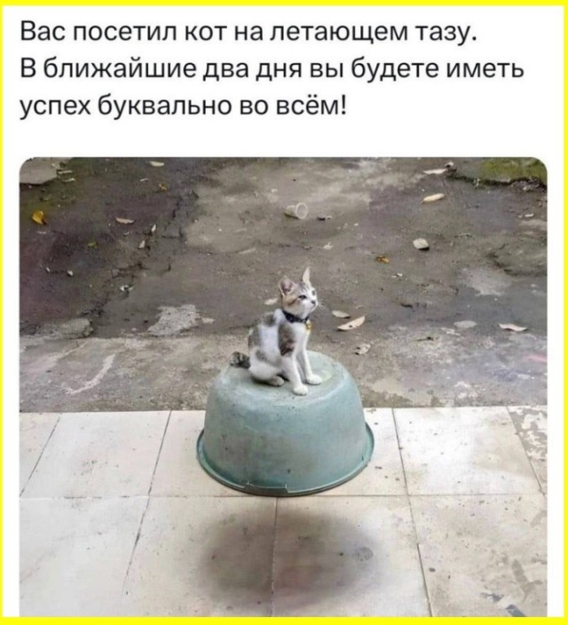 тРРРидцать тРРРи от 6 октября