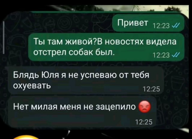 Если жизнь дала тебе лимон — сделай лимонад. Если жизнь дала тебе помидор — не пытайся сделать лимонад
