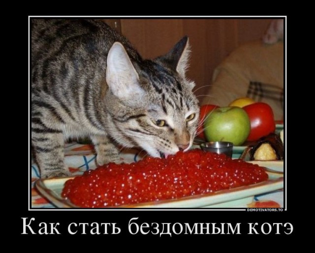 Дерзкие и брутальные