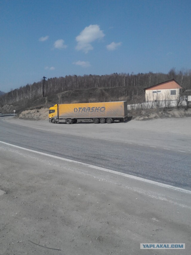 Странствия желтой скамейки)