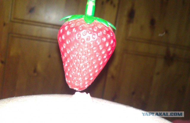 15 фактов о сиськах