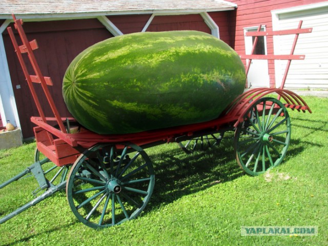 Это как-то слегка настораживает