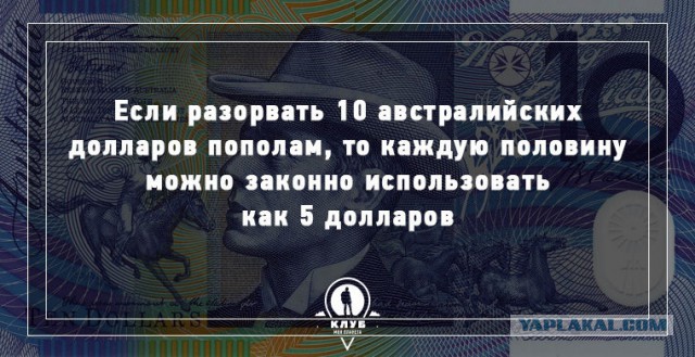 11 интересных фактов о деньгах