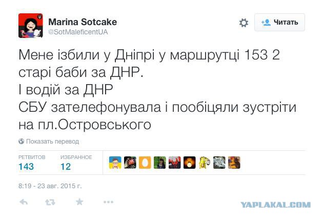 Всюду вата