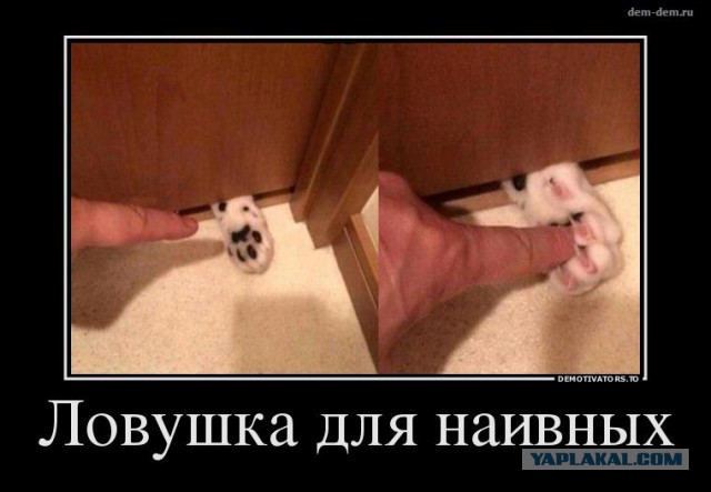 Котовыгонялка