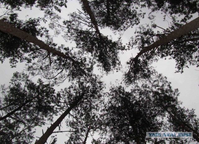 Как видит мир фотограф с синдромом Дауна