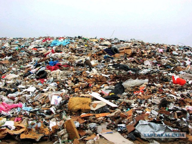 Ливан вывезет в Краснодарский край 5 млн тонн мусора