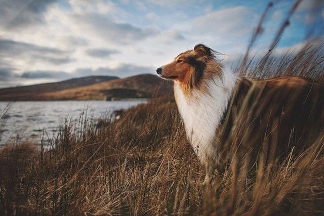 Красивая Россия